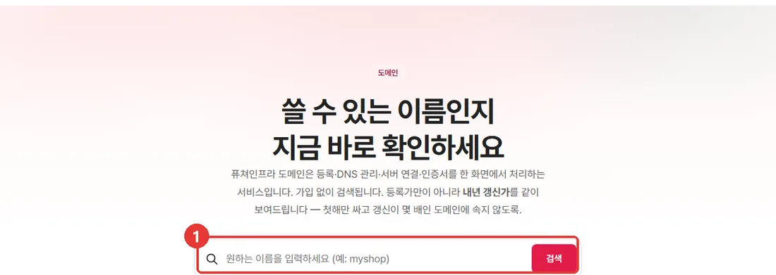 퓨쳐인프라 도메인 검색창